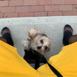 Meet your Posher, Carmelo’s closet